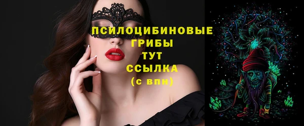 дурь Белокуриха