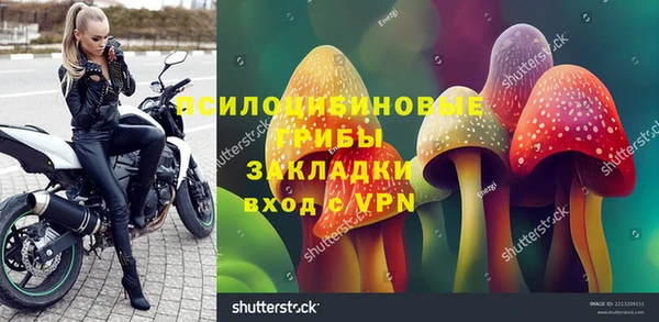 дурь Белокуриха
